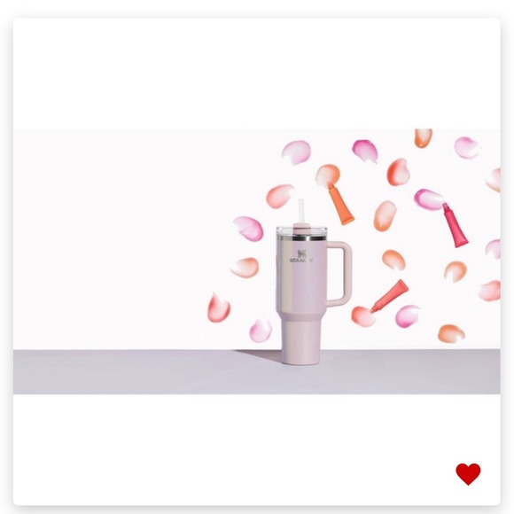 Aster Stanley Tumbler 40oz. Target June 2024 Collection - Picture 14 of 14